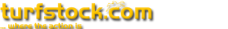 Logo turfstock.com